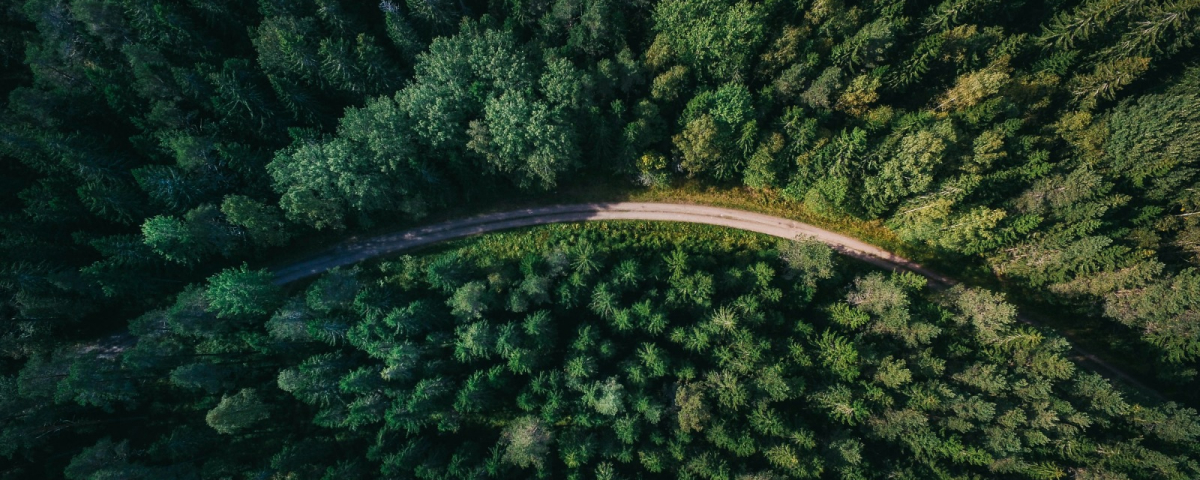 Featured article image